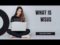 What is WSUS (Windows Server Update Services)