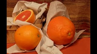 Deborah Ellis: Citrus in Paper