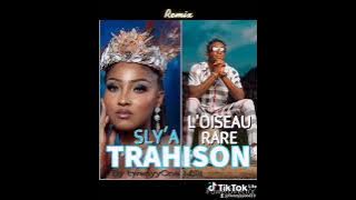 #SlyA x twenyyOne Milli x #LoiseauRare #Trahison #Mashup 🆕🔥🔥🔥