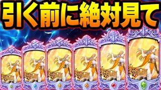DIVINE CROSS 大会上位プロモ 必殺の運命 グラシアス 新フレイヤの深淵火力はぶっ壊れ！？必殺1~6まで実践で使ったら…エグ