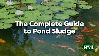 The Complete Guide to Pond Sludge (Pros & Cons, Removal and More)