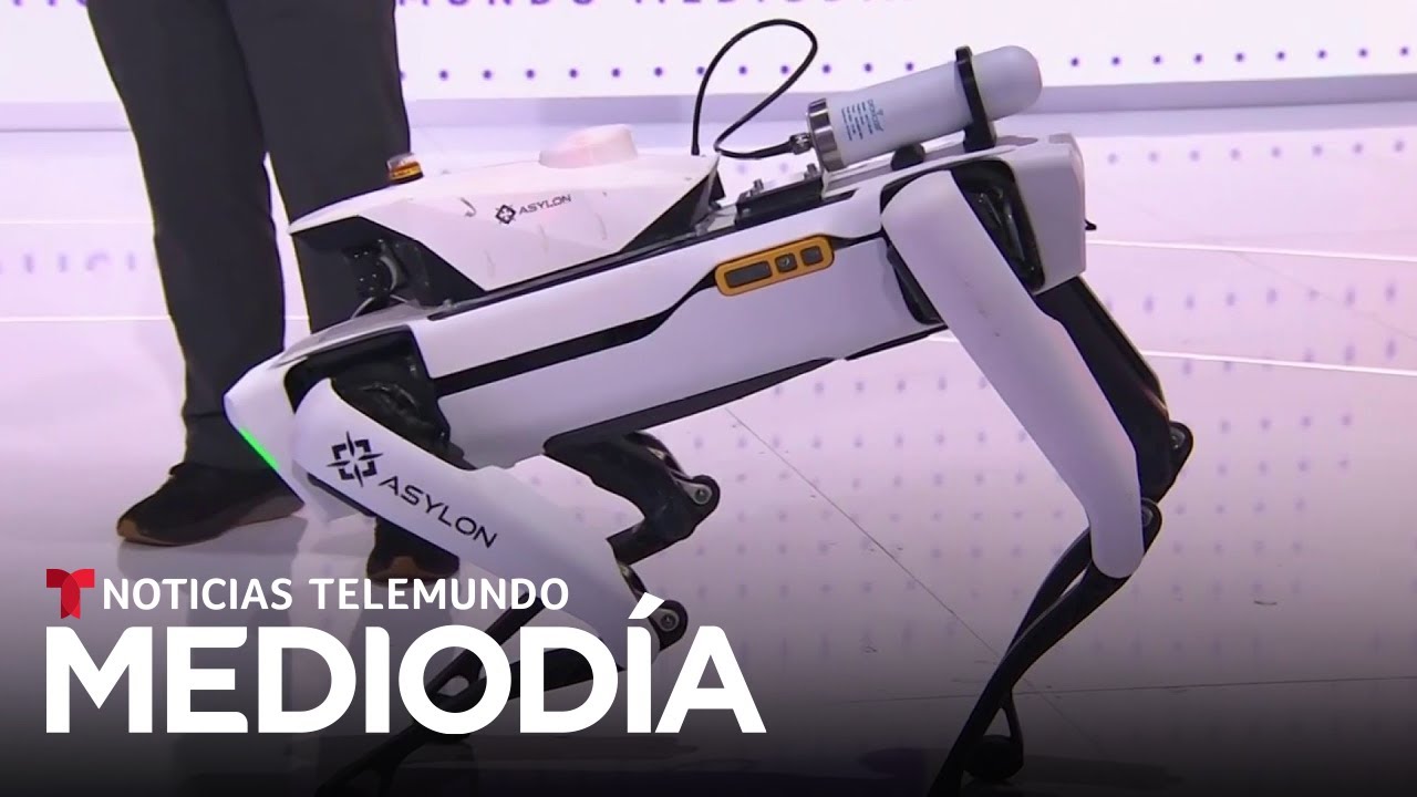 Este perro robot puede brindar seguridad 24 horas al día