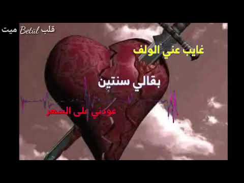نيرمين ابراهيم غيب عني الولف حالات واتساب