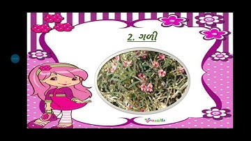 std 8 Social Science sem 1 પ્રકરણ 2. ભરતમાં બ્રિટિશ શાસન (ઇ.સ 1757 થી 1857)