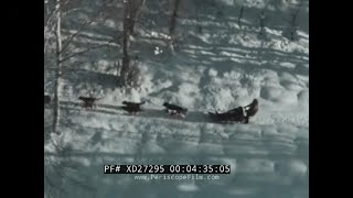 Thumbnail for "AIR FORCE NOW" SEGMENT  ALASKAN COUPLE SERVING IN 176th TACTICAL AIRLIFT GROUP AT KULIS AFB XD27295