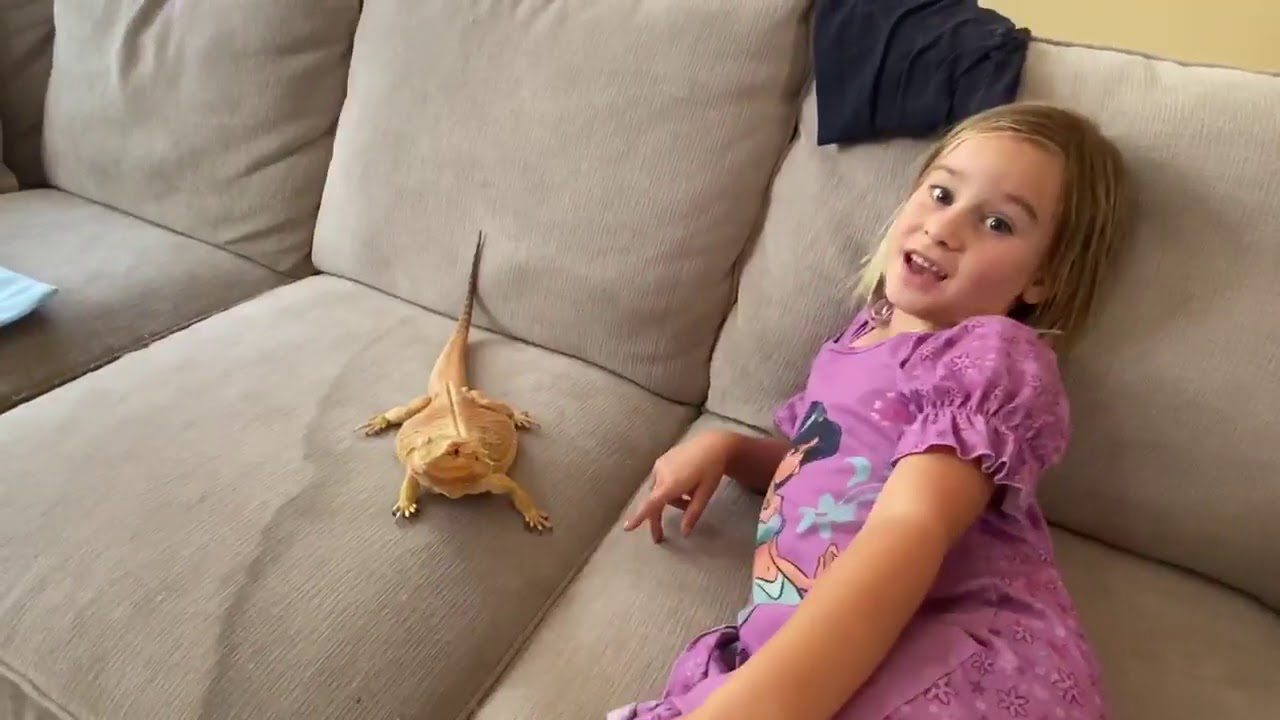 Sage introduces her favorite friend, a Bearded Dragon, her name is Godzilly
