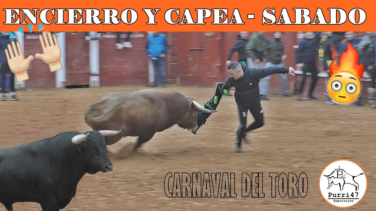 CARNAVAL DEL TORO 2025!/ENCIERRO Y CAPEA  SABADO-TOROS DE MONTALVO 🙌🔥