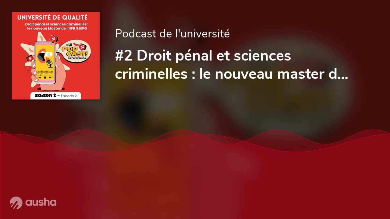 #2 Droit pénal et sciences criminelles : le nouveau master de l'UFR SJEPG !