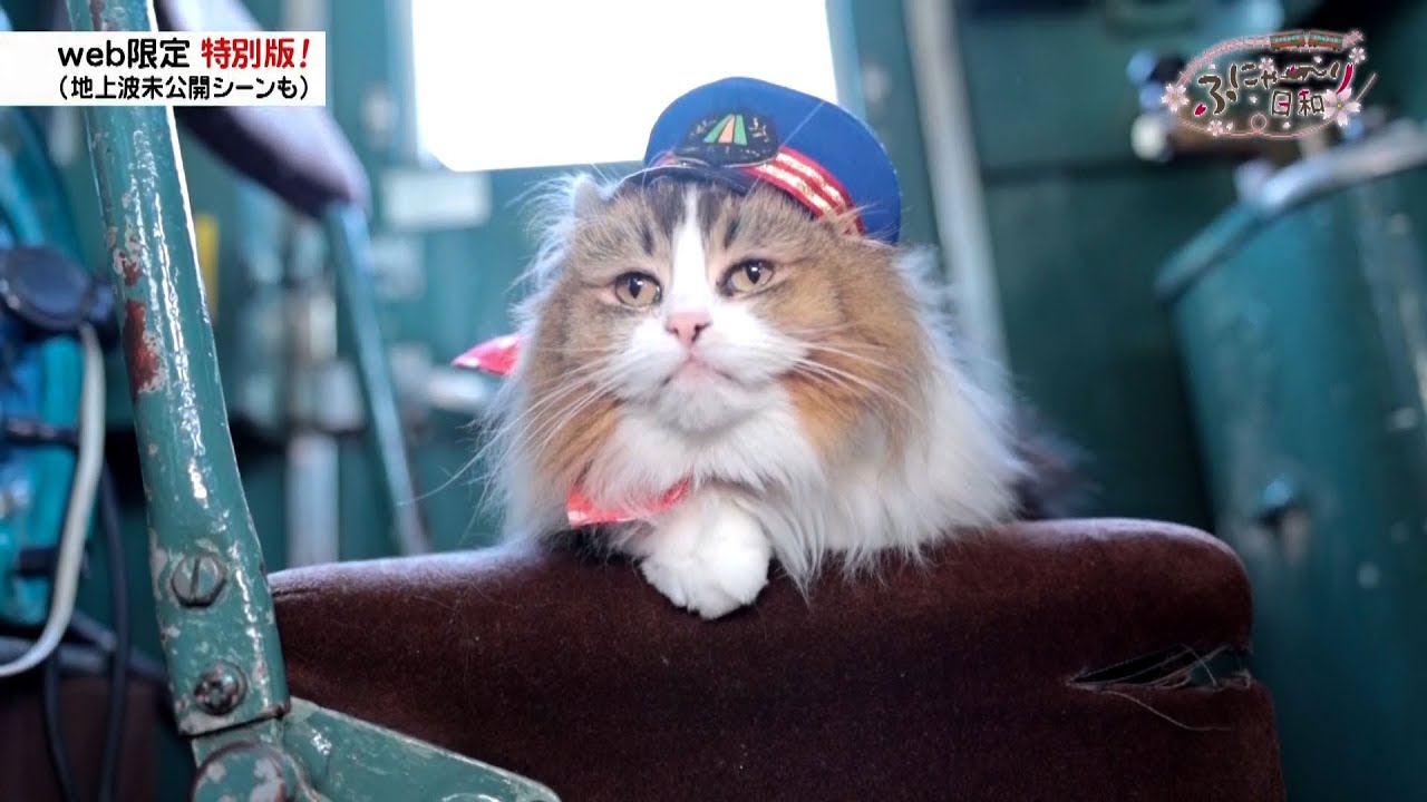 にゃむさん お取り置き 21 鉄道が大好きだにゃ！「ふにゃ～り日和」 - YouTube