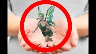 5 FAIRIES CAUGHT ON CAMERA & SPOTTED IN REAL LIFE!