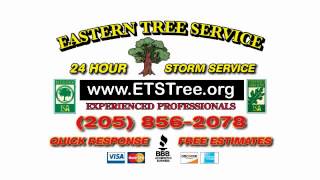 Eastern Tree Service JUN2015