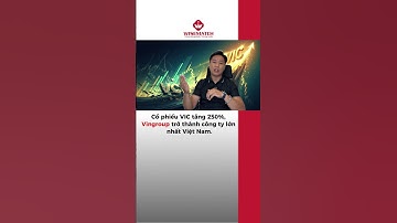 Cổ phiếu VIC tăng 250%, Vingroup trở thành công ty lớn nhất Việt Nam.