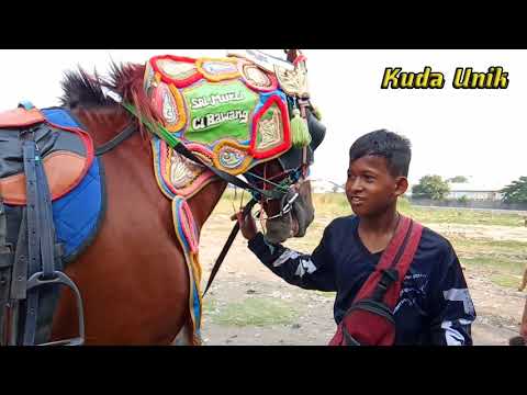 Kuda Unik🐎Kuda Tunggang Jokinya Berdiri sambil Jalan