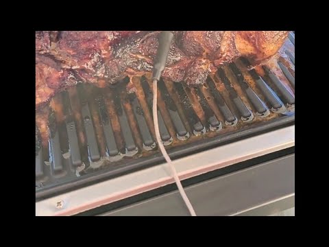 Ninja Woodfire Grill Smoked Pulled Pork Recipe – Cooking with CJ