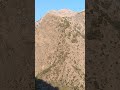 माता रानी का दरबार #shorts