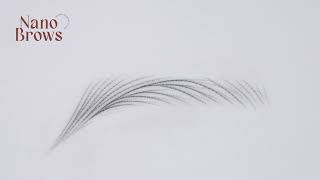 Nano Brows Sneak Peek 2