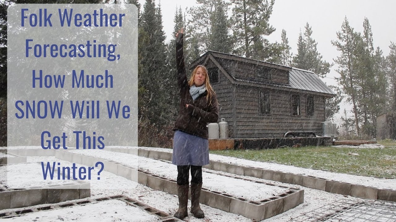 Life In A Tiny House Called Fy Nyth How Much SNOW Will We Get This Year Folk Weather 