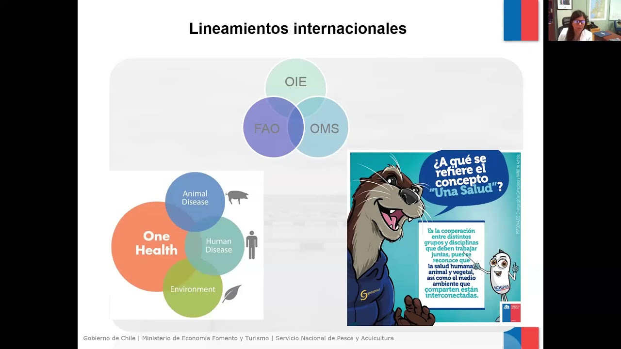 Seminario: Gestión Sanitaria en Resistencia Antimicrobiana (RAM)