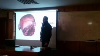 Gynecology & Obstetrics (502) final slides - part 2