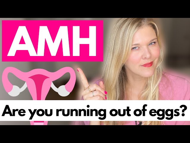 AMH and Ovarian Reserve: Should You Test Your Fertility? class=