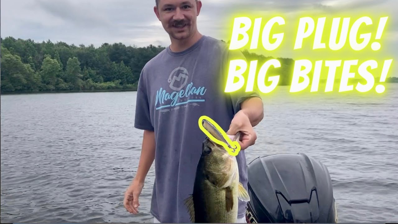 East Texas Bass Fishing: The Summer Bass that 75% of Anglers forget about! Big Topwater = Big Bass!