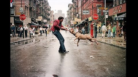 『フォトグラファーズ・イン・ニューヨーク』映画オリジナル予告編