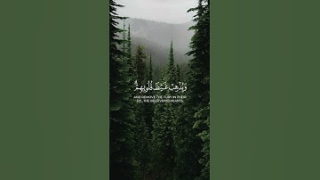 قاتلوهم يعذبهم الله بأيديكم | ماهر المعيقلي كرومات قرآن سورة التوبة #quran #islam #islamicreels