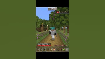 Noob vs Pro vs Hacker Removing cobwebs #minecraft #shortvideo