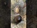 two holes containing the most sought after and valuable treasures