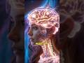 Your Brain Can Store 300 Years of TV… So Why Can’t You Remember Your Keys? 😱