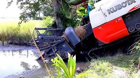 MÁY CẮT LÚA KUBOTA DC 70 VƯỢT QUA MƯƠNG SÉM LẦY máy gặt đập Liên Hợp dc
