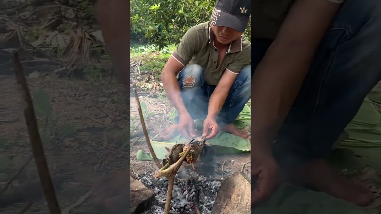 A fisherman catching a snakehead murrel