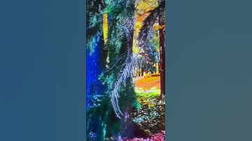 آيات من الذكر الحكيم