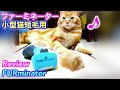 ファーミネーター、小型猫の短毛種でもごっそりとれた❗️ENG) FURminator Review