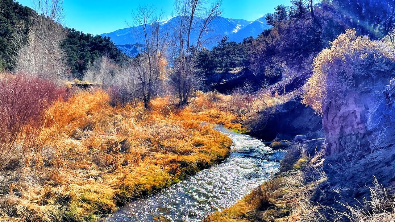 December Dry Fly Fishing On A Tiny Spring Creek | Tenkara Fishing In Colorado