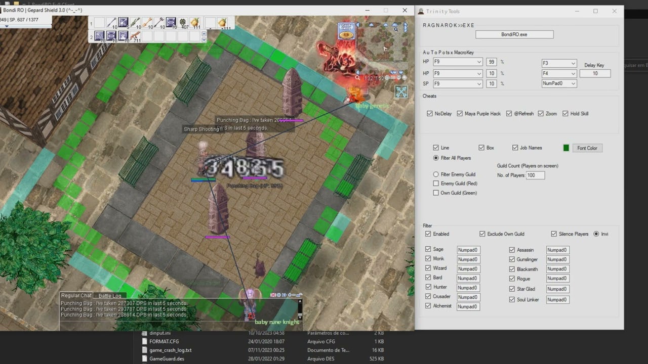 Ragnarok No Delay | NDL | for Ragnarok ALL SERVERS OFFICIAL AND PRIVATE=Landverse|TWRO|UARO|PW|LATAM