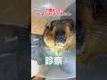 便が緩くてご飯を食べない1歳8ヶ月のヒマラヤマーモットが動物病院にやって来た！