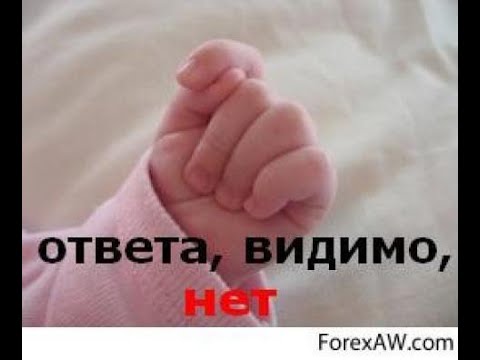 И тишина картинки прикольные