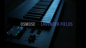 Osmose | Lavender fields