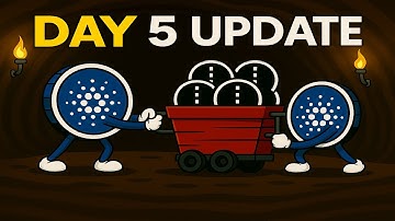 NIGHT Token Mining ⛏️ | Day 5 Results!