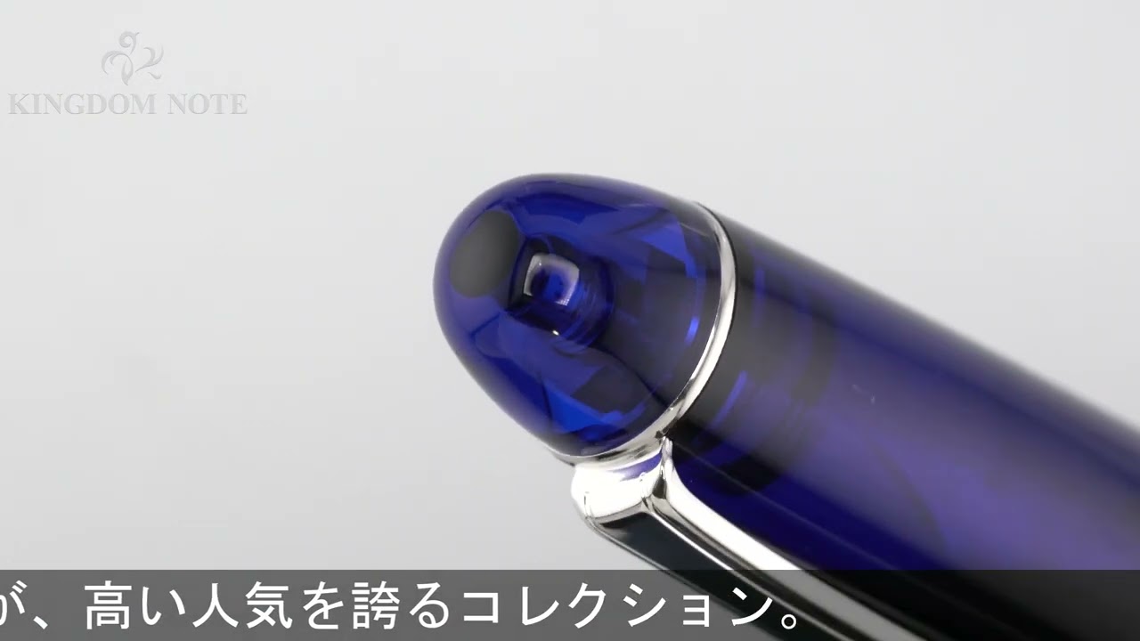 PLATINUM 万年筆 #3776 センチュリー ロジウムフィニッシュ シャルトル