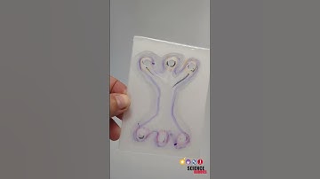 Make Your Own Microfluidic Device #stem #sciencebuddies #biotechnology #engineering #biochemistry