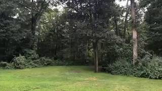 305 Concord Drive video tour