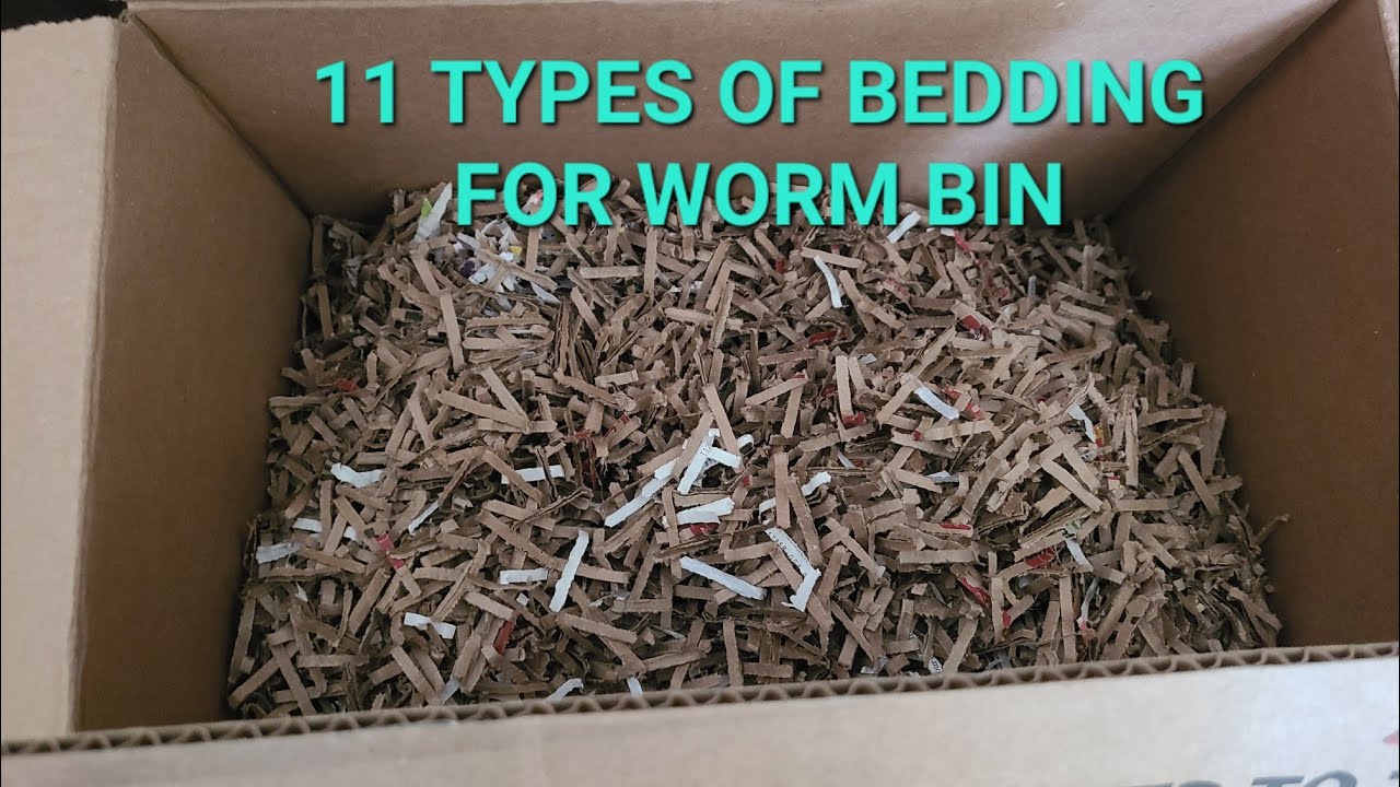 Worm Bedding: 9 Awesome Choices