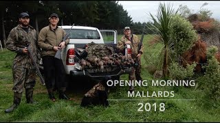 Duck Shooting 2018 Opening Morning Limit NZ