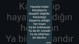 Tevhid Tabibi