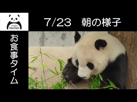 7/23 朝のお食事タイム