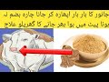 Bhains Ke Aphara Ka Ilaj جانور کے اپھارہ کا دیسی گھریلو سستا علاج Animal Informer TV