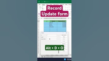 Record update form ❤️ #excel #tips