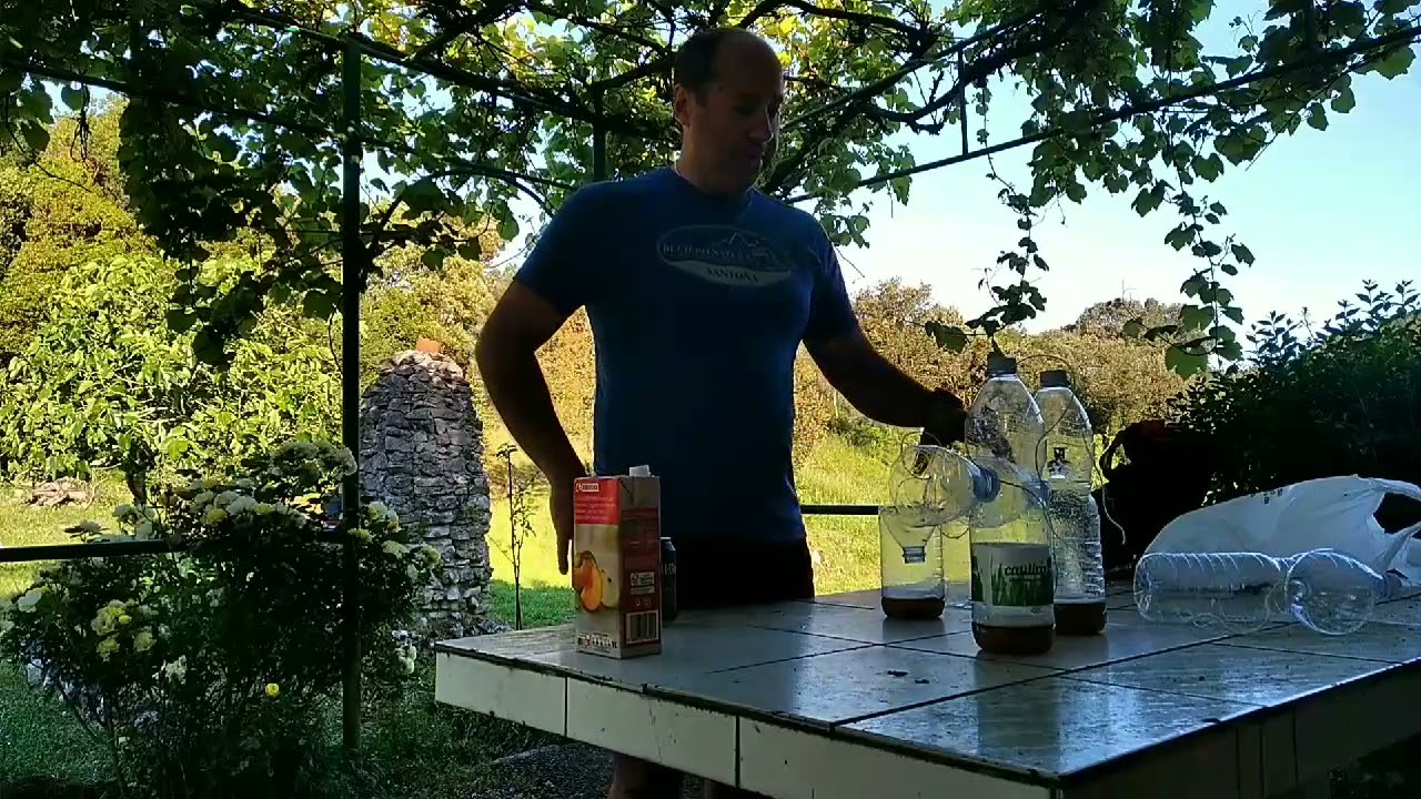 Trampa fácil para Avispa Asiática